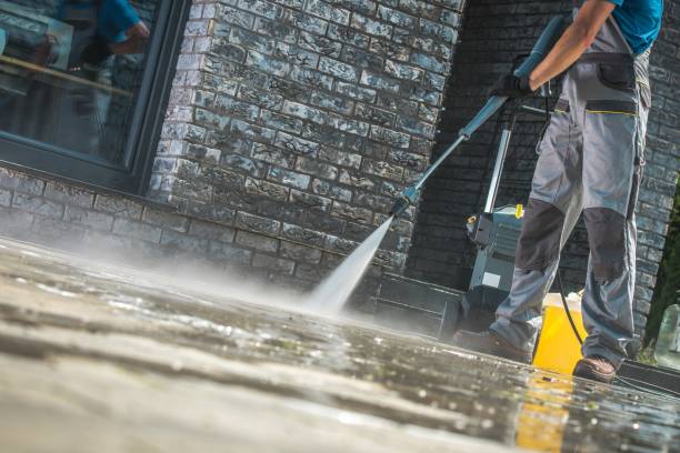 Animal Enclosure Cleaning in Dundee, NY
