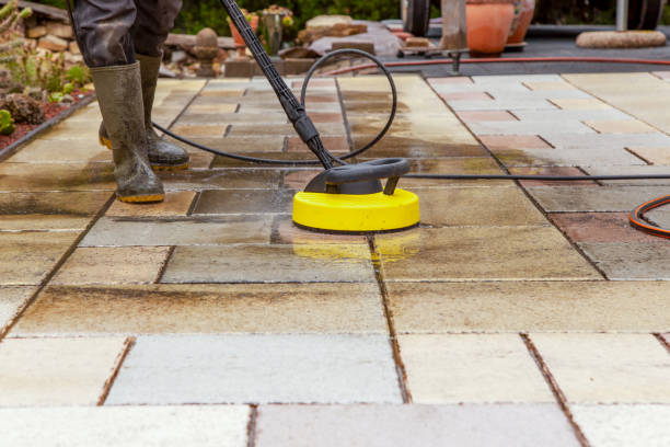 Best Roof Washing  in Dundee, NY